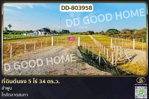 DD-803958 ที่ดินต้นธง 5 ไร่ 34 ตร.ว. ลำพูน ใกล้ตลาดสบทา
