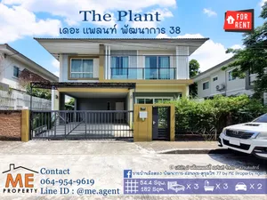 ปล่อยให้เช่า บ้านเดี่ยวหลังใหญ่ The Plant Pattanakarn 38 พร้อมเฟอร์ฯ ใกล้เอกมัย - ทองหล่อ -สุขุมวิท โทร 085-161-9569 (RBH16-54)