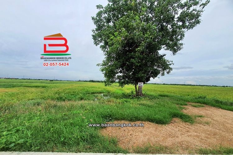 ที่ดินเปล่า อุทัย-อยุธยา เนื้อที่ 18-0-8.2 ไร่ ตำบลหนองน้ำส้ม, ภาพที่ 4