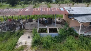 ขาย ที่ดิน ตำบลห้วยยาง อำเภอทับสะแก จังหวัดประจวบคีรีขันธ์
