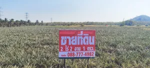 ขาย ที่ดิน ตำบลเกาะหลัก อำเภอเมืองประจวบคีรีขันธ์ จังหวัดประจวบคีรีขันธ์