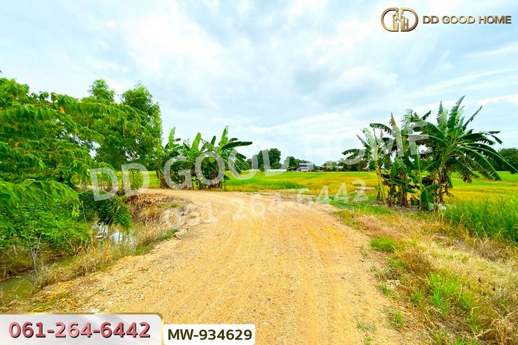 MW-934629 ที่ดินแสวงหา 5 ไร่ 337 ตร.ว. อ่างทอง ใกล้วัดบ้านพราน, ภาพที่ 4