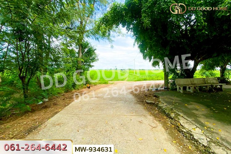 MW-934631 ที่ดินวังน้ำเย็น 19 ไร่ 46 ตร.ว. อ่างทอง ใกล้วัดหนองยาง, ภาพที่ 4