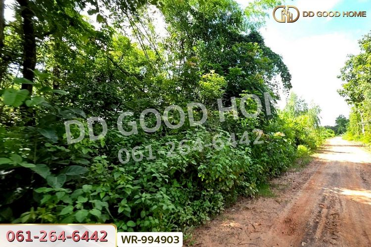 WR-994903 ที่ดินหนองนาคำ 15 ไร่ อุดรธานี ใกล้วัดป่าศิริมงคล, ภาพที่ 4