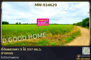 MW-934629 ที่ดินแสวงหา 5 ไร่ 337 ตร.ว. อ่างทอง ใกล้วัดบ้านพราน