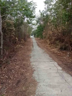 ขายที่ดินเปล่า ใกล้ชุมชนท่องเที่ยว พระพุทธบาท (เหมาะกับลงทุน)