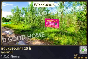 WR-994903 ที่ดินหนองนาคำ 15 ไร่ อุดรธานี ใกล้วัดป่าศิริมงคล