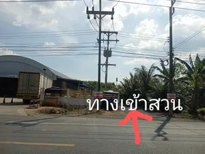 ขายสวนยางพร้อมกรีดมีโฉนด
