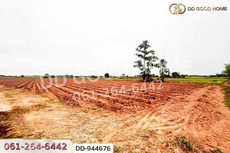 DD-944676 ที่ดินโนนสะอาด 26 ไร่ 18 ตร.ว.อุดรธานี, ภาพที่ 4