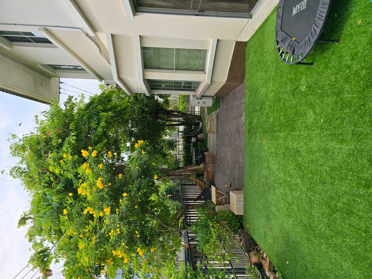 ขายบ้าน หมู่บ้าน ชัยพฤกษ์ (ปิ่นเกล้า-สาทร) หัวมุมเนื้อที่ 56.6 ตร.วา: , ภาพที่ 4
