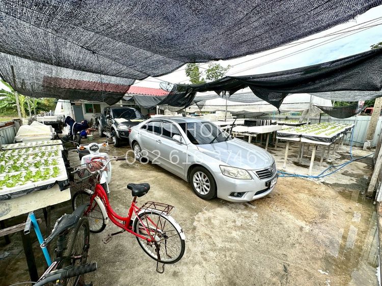 ขาย บ้านเดี่ยวพร้อมที่ดิน คลอง 5 ขนาด 75 ตร.วา ราคาไม่ถึง 2 ล้าน  !!!, ภาพที่ 4