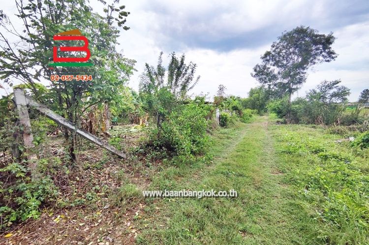 ที่ดิน ถมแล้ว ซอยมิตรไมตรี 2/2 เนื้อที่ 100 ตรว. ถนนมิตรไมตรี กรุงเทพฯ, ภาพที่ 4