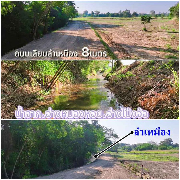 ขายที่ดินสวนราคาถูก เชียงใหม่ ที่ดินแบ่งขาย ติดอ่างเก็บน้ำ  ดินดี น้ำดี, ภาพที่ 4