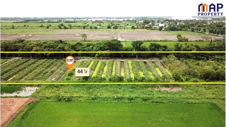 ขายที่ดินสวนเกษตรผสมผสาน  44 ไร่ ติดถนนเลียบ คลอง 13, ภาพที่ 4