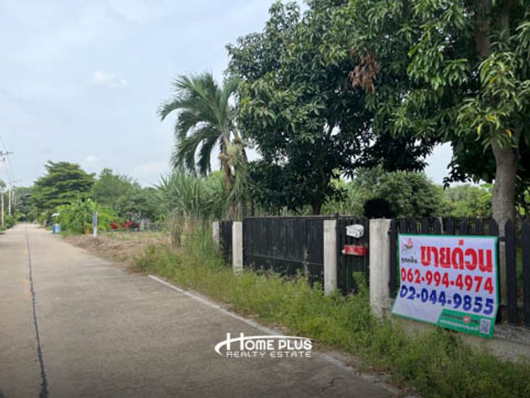 ที่ดินพร้อมบ้านเดี่ยว 2 ชั้นซอยชมวิหค ตำบลคลอง5 ปทุมธานี, ภาพที่ 4