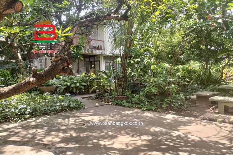 ที่ดินพร้อมสิ่งปลูกสร้าง ลาดพร้าว 64 แยก 10 เนื้อที่ 256 ตรว., ภาพที่ 4