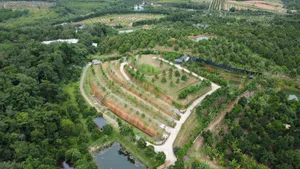 สวนทุเรียนขั้นบันได บ้านตากอากาศบนเขา พร้อมโฉนด! วิวหลักล้าน 11ไร่