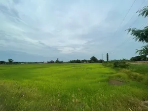 ขายที่ดินเปล่า ขนาด 24 ไร่ ทำเลทอง บรรยากาศร่มรื่น ใกล้แหล่งชุมชน ต.หัวสำโรง ฉะเชิงเทรา