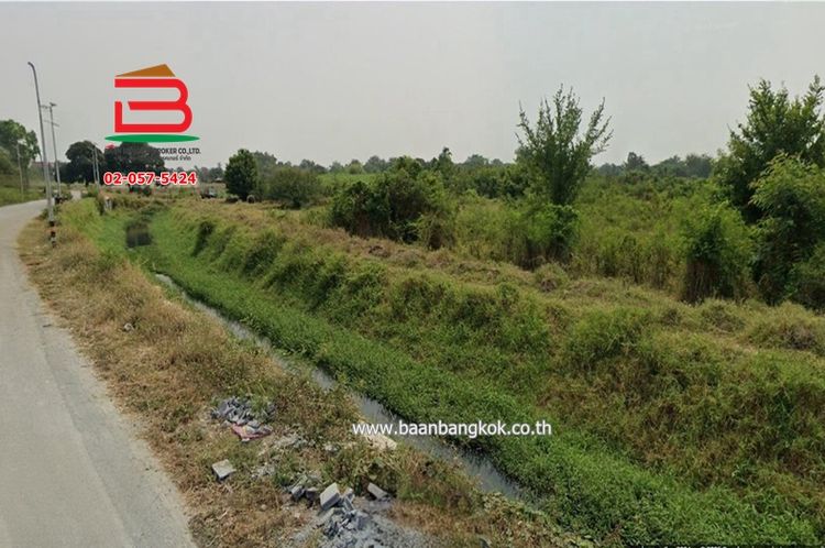 ที่ดินเปล่า ดอยข่อย-กำแพงแสน เนื้อที่ 4 ไร่ 2 งาน วิทยาเขตกำแพงแสน 321, ภาพที่ 4