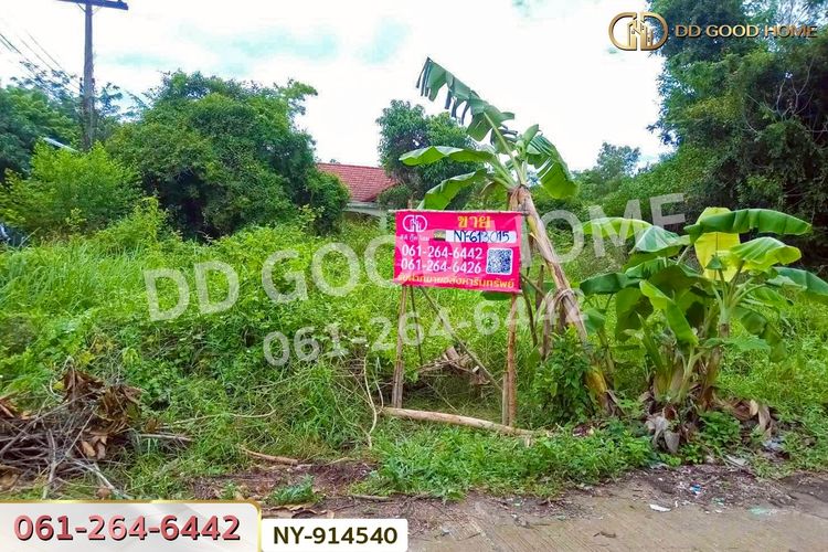 NY-914540 ที่ดินเมืองสระแก้ว 98 ตร.ว. สระแก้ว, ภาพที่ 4