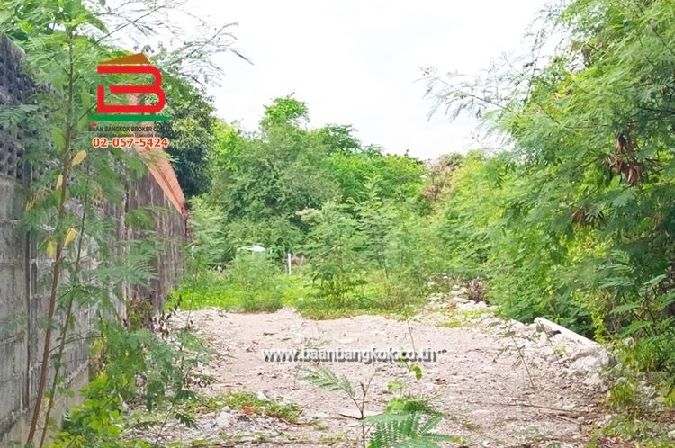 ที่ดินเปล่า พหลโยธิน 35 (ซอยท่านผู้หญิง) เนื้อที่ 200 ตรว. ถนนพหลโยธิน, ภาพที่ 4
