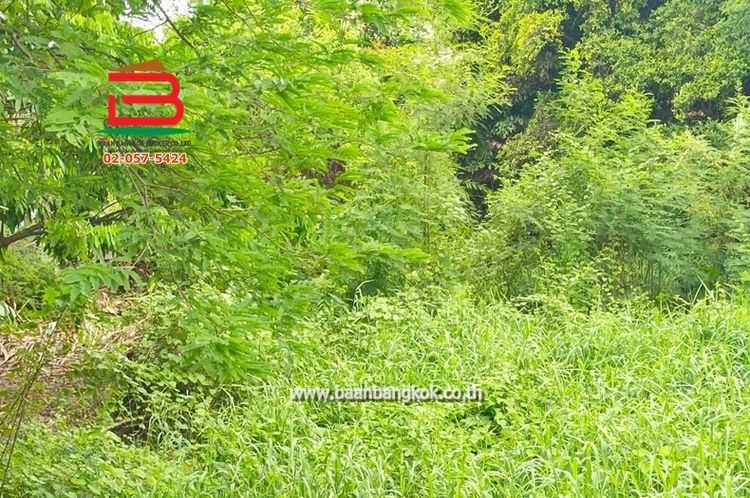 ที่ดินเปล่า พหลโยธิน 35 (ซอยท่านผู้หญิงพหลฯ) เนื้อที่ 104 ตรว., ภาพที่ 4