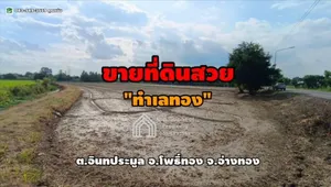 ขายที่ดิน 5 ไร่ ถ.สายลำท่าแดง ต.อินทประมูล อ.โพธิ์ทอง จ.อ่างทอง