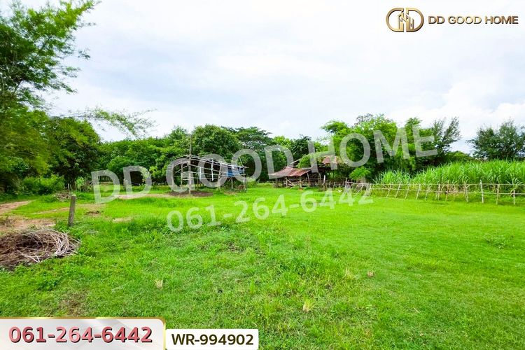 WR-994902 ที่ดินพระธาตุบังพวน 24 ไร่ 321 ตร.ว. หนองคาย, ภาพที่ 4