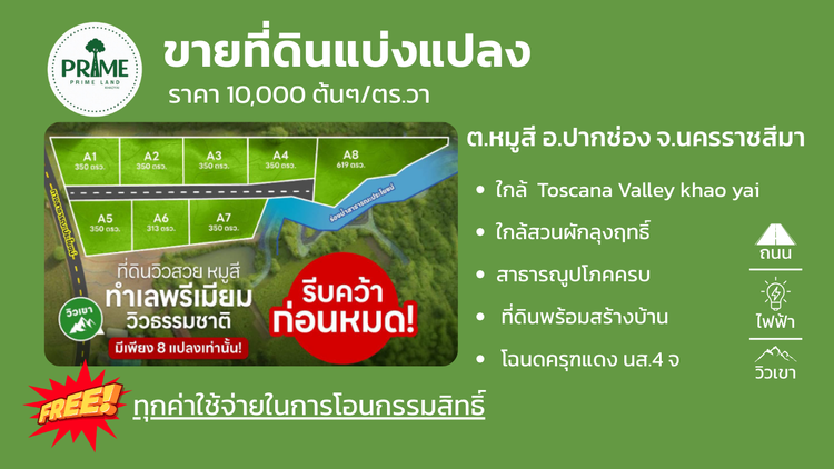 “🌿 ที่ดินหมูสี ปากช่อง เขาใหญ่ ทำเล Rare Location วิวภูเขา ✨ , ภาพที่ 4