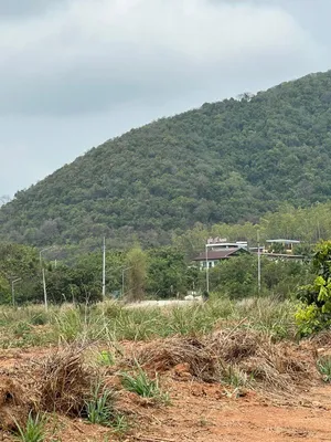 ขายที่ดินวิวภูเขา ใกล้สุขุมวิท – บรรยากาศโคตรดี อำเภอสัตหีบ จังหวัดชลบุรี