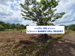 ขายที่ดินเปล่า ต.เขาวงกต อ.แก่งหางแมว ในแรบบิซ ฮิลล์ รีสอร์ท (Rabbiz hill resort) 186 ตารางวา [FAS2508118]