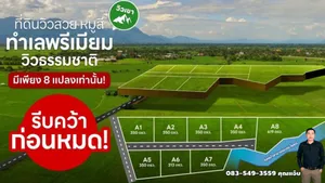 ขายที่ดินเขาใหญ่ ถ.คลองดินดำ ต.หมูสี อ.ปากช่อง จ.นครราชสีมา