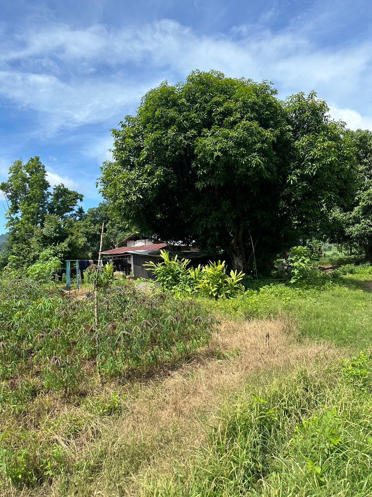 ขาย ที่ดิน ตำบลวังกระแจะ อำเภอไทรโยค จังหวัดกาญจนบุรี, ภาพที่ 4