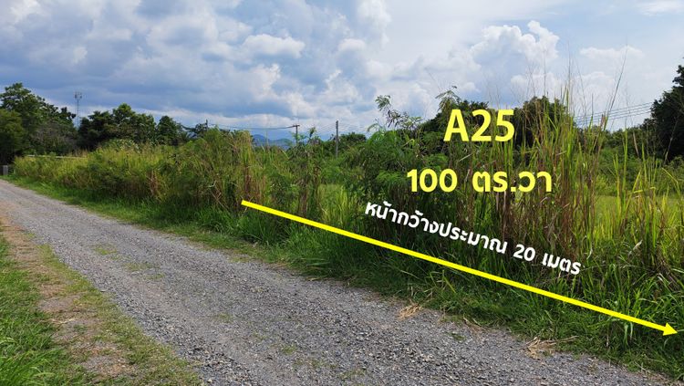 🚩Land For Sale #ที่ดินแบ่งขาย ที่ดินจัดสรรโครงการอารีย์ เนื้อที่ 200, ภาพที่ 4