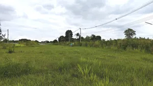 🚩Land For Sale #ที่ดินแบ่งขาย ที่ดินจัดสรรโครงการอารีย์ เนื้อที่ 200 ตร.วา เขาใหญ่ 🏞 แหล่ง Ozone อันดับต้นๆ ของไทย
