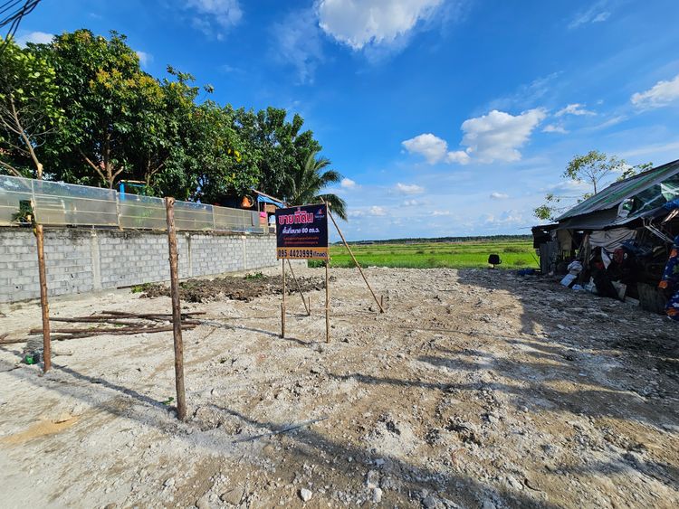 🌳 ขายที่ดินเปล่า (ถมแล้ว) 60 ตร.ว. ซอยแต้เจริญ1 ลำลูกกา คลอง4, ภาพที่ 4