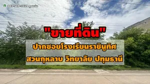 ขายที่ดิน เนื้อที่ 60 ตร.ว. ต.พืชอุดม อ.ลำลูกกา จ.ปทุมธานี