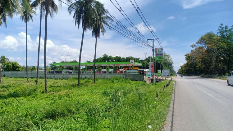 ขายที่ดิน ริม ถ.เพชรเกษม 11 ไร่ 3 งาน ติดปั๊มบางจาก, ภาพที่ 4