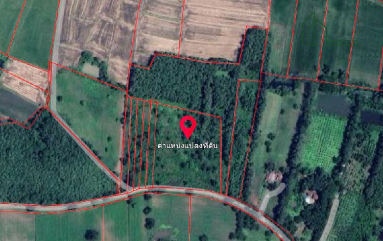 ขายด่วน ที่ดิน 10 ไร่ 35.8 ตรว. เพชรบูรณ์ ใกล้ รร.บ้านนายม, ภาพที่ 4