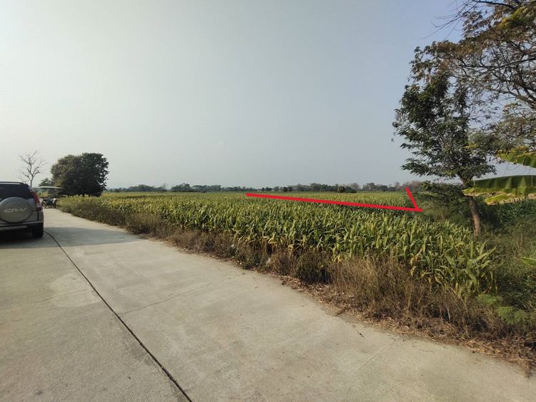 ขายที่นา 6 ไร่ 880,000  บาท ยกแปลง, ภาพที่ 4