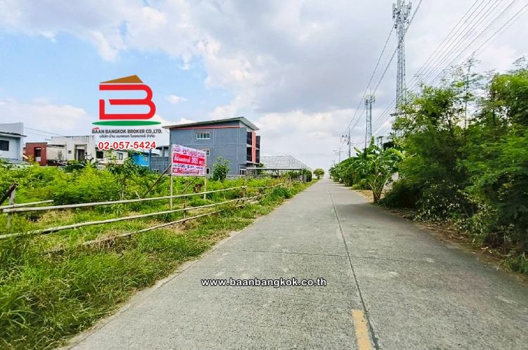 ที่ดินเปล่า ซอยลำลูกกา 45 เนื้อที่ 365 ตร.ว (ใกล้บิ๊กซีลำลูกกาคลอง 4), ภาพที่ 4