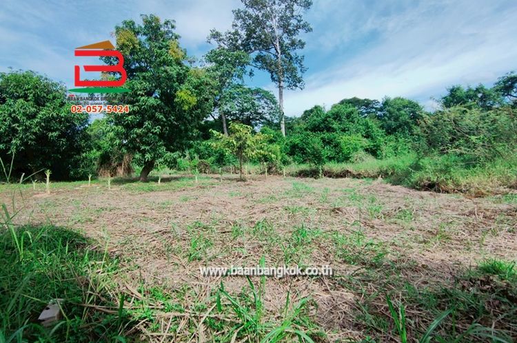 ที่ดินเปล่า เนื้อที่ 1-1-0 ไร่ ใกล้วัดกำแพงแก้ว ถ.สาย อย.4016 อ.บางบาล, ภาพที่ 4