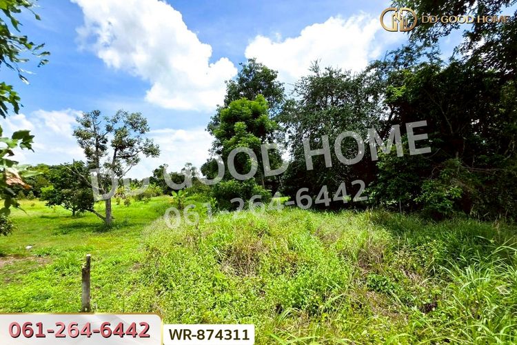 WR-874311 ที่ดินเมืองปราจีนบุรี 4 ไร่ ใกล้โรงพยาบาลค่ายจักรพงษ์, ภาพที่ 4