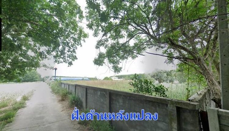 ขายที่ดิน 9-3-31 ไร่ ย่านปลวกแดงระยองพื้นที่สีม่วงแปลงสวยติดถนนสองฝั่ง, ภาพที่ 4
