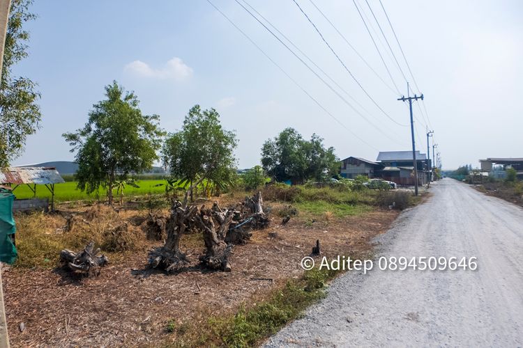 ขาย ที่ดินเปล่า 120 ตร.วา อำเภอไทรน้อย บนถนนเส้น 346 เหมาะสร้างบ้าน, ภาพที่ 4