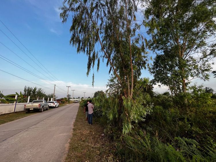 ขายที่ดิน 150 ตร.วา ด้านหลังนิคมอุตสาหกรรม นวนคร อำเภอสูงเนิน, ภาพที่ 4