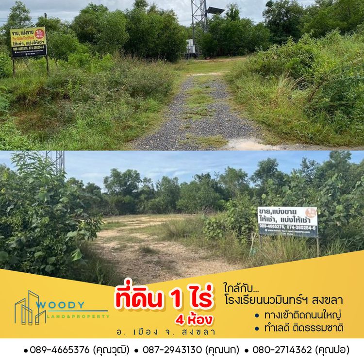 ขายด่วน!! ที่ดิน 1 ไร่ 4 ห้อง โฉนดครุฑแดง ใกล้ รร.นวมินทร์ สงขลา, ภาพที่ 4