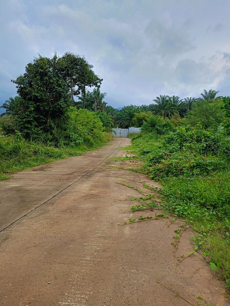 ขาย ที่ดิน ตำบลม่วงกลวง อำเภอกะเปอร์ จังหวัดระนอง, ภาพที่ 4