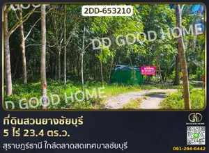 ที่ดินสวนยางชัยบุรี 5 ไร่ 23.4 ตร.ว. สุราษฎร์ธานี ใกล้ตลาดสดเทศบาลชัยบุรี