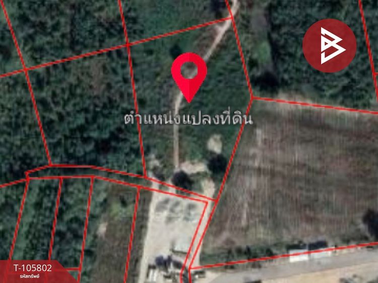 ขายที่ดินเปล่า เนื้อที่ 6 ไร่ 43 ตร.วา เวียงสา น่าน, ภาพที่ 4